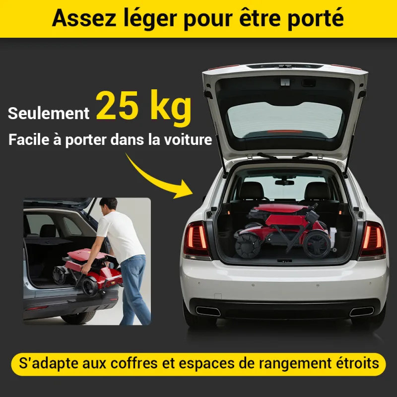 Easwe L10 Fr 20